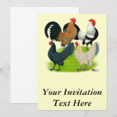Dutch Bantam Quartett Einladung (Vorne/Hinten)