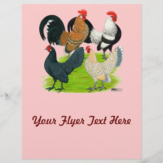 Dutch Bantam Quartett Flyer (Vorne)