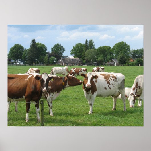 Dutch Dairy Cows Landscape Poster - Geschenk druck (Vorne)