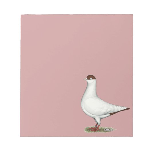 Dutch Helmet Pigeon Notizblock (Vorderseite)