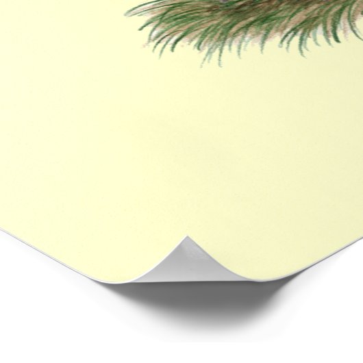 Dutch Helmet Pigeon Poster (Ecke)