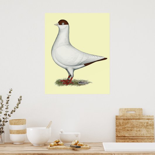 Dutch Helmet Pigeon Poster (Küche)