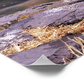Dutch Heron Poster (Ecke)