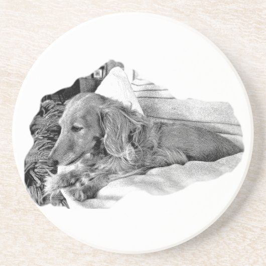 Dutch Hound Resting –  Graphic Coaster Getränkeuntersetzer (Vorne)
