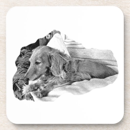 Dutch Hound Resting –  Graphic Coaster Getränkeuntersetzer (Vorderseite)