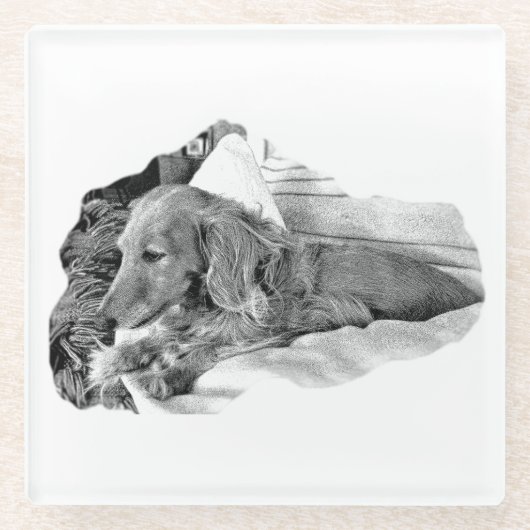 Dutch Hound Resting – Graphic Coaster Glasuntersetzer (Vorderseite)