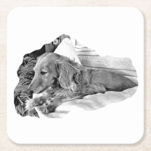 Dutch Hound Resting – Graphic Coaster Rechteckiger Pappuntersetzer (Vorderseite)