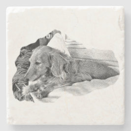 Dutch Hound Resting –  Graphic Coaster Steinuntersetzer