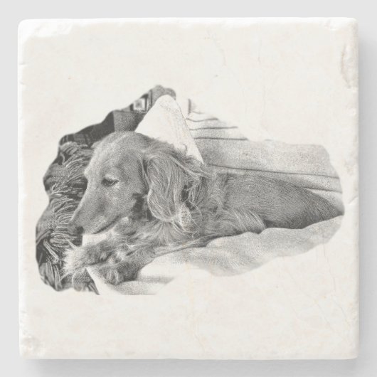 Dutch Hound Resting – Graphic Coaster Steinuntersetzer (Vorderseite)
