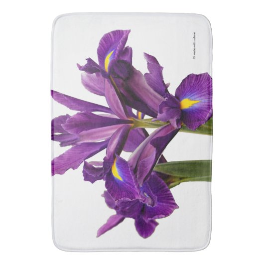 Dutch Iris Lila Sensation Badematte (Vorderseite Vertikal)