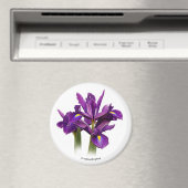Dutch Iris Lila Sensation Magnet (In Situ (Geschirrspüler))