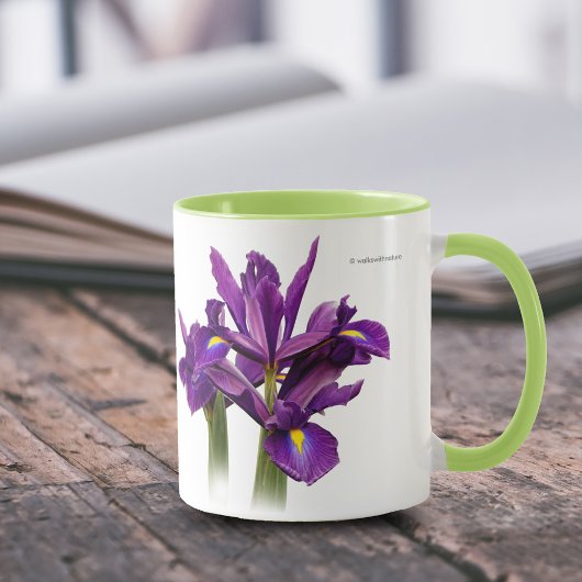Dutch Iris Lila Sensation Tasse