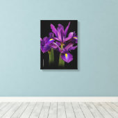 Dutch Iris Purple Sensation Leinwanddruck (Insitu (Holzboden))