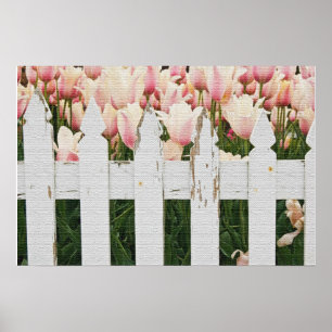 Dutch Pink Tulip Garten Poster