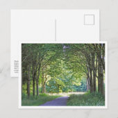 Dutch Salland Region Westerveldse Bos Forest Postkarte (Vorne/Hinten)