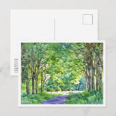 Dutch Salland Region Westerveldse Bos Forest Postkarte (Vorne/Hinten)