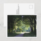 Dutch Salland Region Westerveldse Bos Forest Postkarte (Vorne/Hinten)