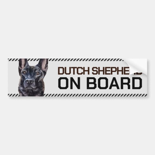 Dutch Shepherd an Bord Autoaufkleber (Vorne)