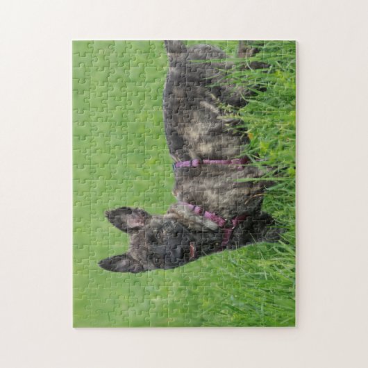 Dutch Shepherd Dog Puzzle (Vertikal)
