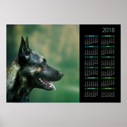 Dutch Shepherd - Holländischer Kalender 2018 Poster (Vorne)