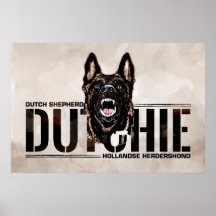 Dutch Shepherd - Hollandse Herdershond