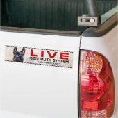 Dutch Shepherd Live Security System Autoaufkleber (Auf Lkw)