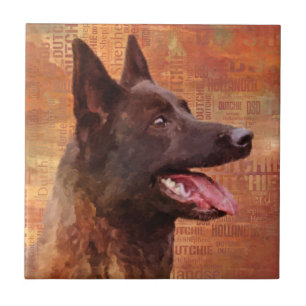 Dutch Shepherd - Niederländische Illustration Fliese