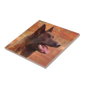 Dutch Shepherd - Niederländische Illustration Fliese (Seite)