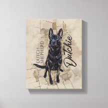 Dutch Shepherd - Niederländische Illustration
