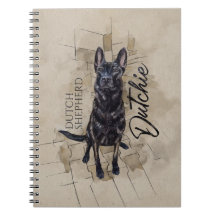 Dutch Shepherd - Niederländische Illustration