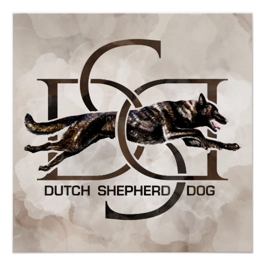 Dutch Shepherd - Niederländische Illustration Poster (Vorderseite)