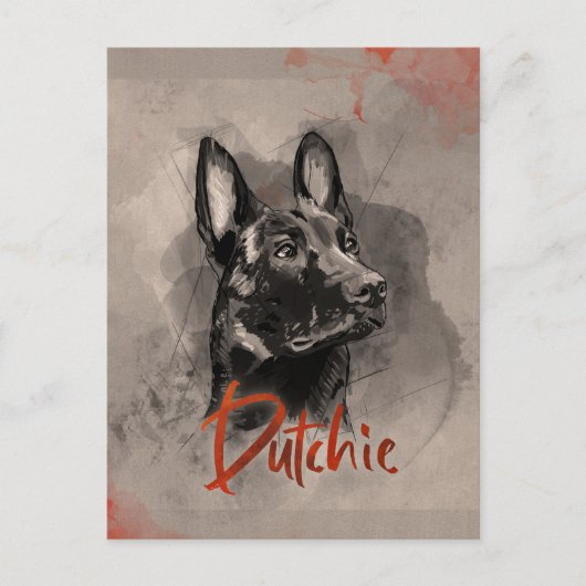 Dutch Shepherd - Niederländische Illustration Postkarte (Vorderseite)