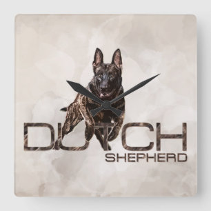 Dutch Shepherd - Niederländische Illustration Quadratische Wanduhr