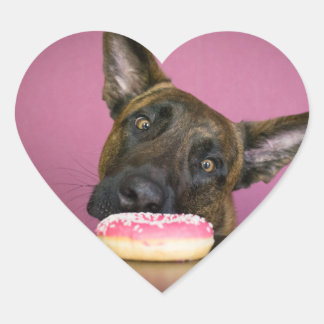Dutch shepherd versus donut Herz-Aufkleber
