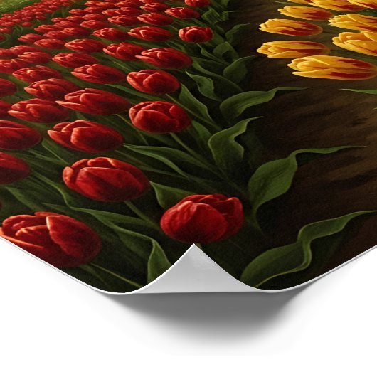 Dutch Tulip Fields Poster (Ecke)