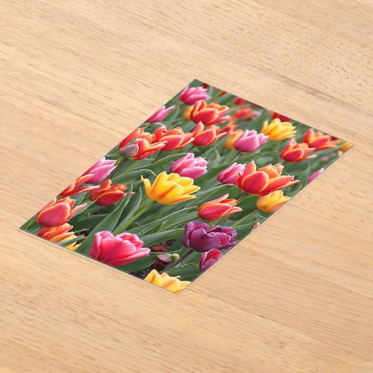 Dutch Tulips Acryleinladungen (Ablage )
