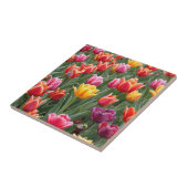 Dutch Tulips Fliese (Seite)
