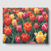 Dutch Tulips Gästebuch (Rückseite)