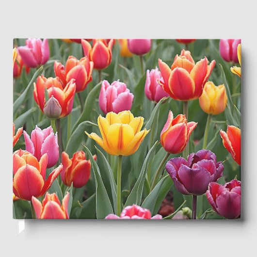 Dutch Tulips Gästebuch (Vorderseite)