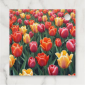Dutch Tulips Geschenkanhänger (Rückseite)