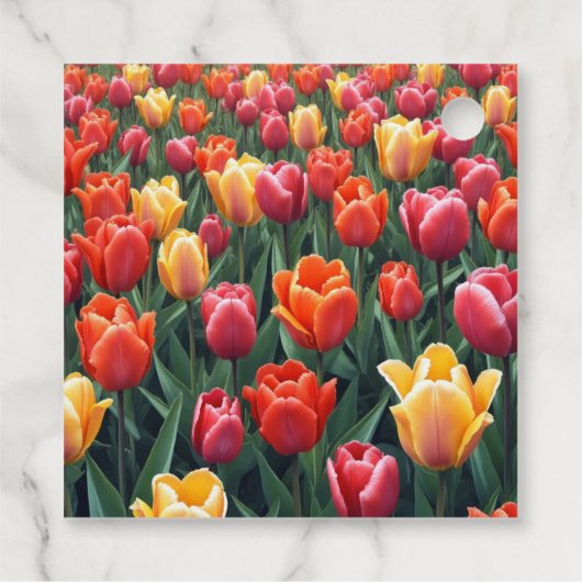 Dutch Tulips Geschenkanhänger (Rückseite)