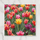 Dutch Tulips Geschenkanhänger (Vorderseite)