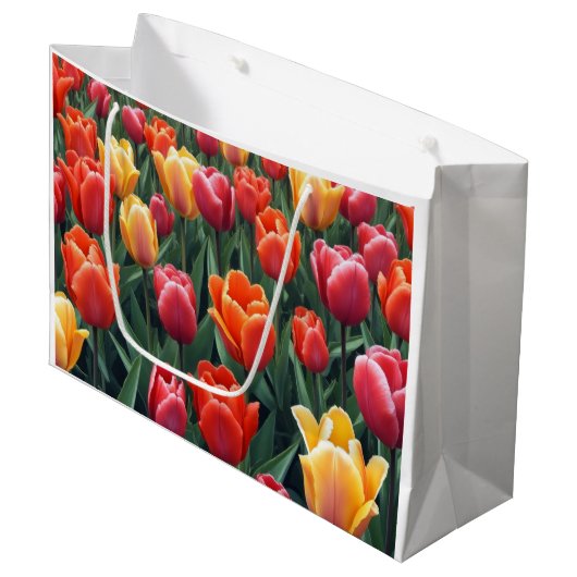 Dutch Tulips Große Geschenktüte (Vorderseite Schrägansicht)