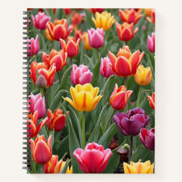Dutch Tulips Notizblock