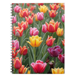 Dutch Tulips Notizblock