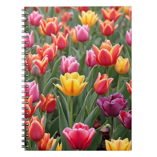Dutch Tulips Notizblock (Vorderseite)