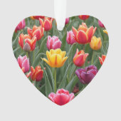 Dutch Tulips Ornament (Vorderseite)