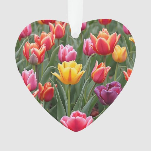 Dutch Tulips Ornament (Vorderseite)