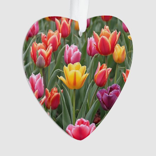 Dutch Tulips Ornament (Vorderseite)
