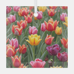 Dutch Tulips Ornament Aus Glas